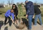 Plantación de árboles en el Día Mundial del Medio Ambiente