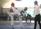 Se realizó en Taekwondo el Torneo Apertura 2018 en nuestra ciudad