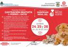 ARROYITO CONTINÚA REALIZANDO CASTRACIONES MASIVAS, A TRAVÉS  DEL PROGRAMA   "MASCOTAS ARGENTINAS"