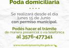 PODA DOMICILIARIA: SOLO PUEDE REALIZARSE DESDE EL 15 DE JUNIO Y CON PERMISO MUNICIPAL