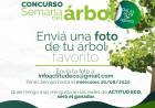 CONCURSO FOTOGRÁFICO PARA JÓVENES Y ADULTOS JUNTO A ACTITUD ECO
