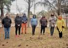 EN LA SEMANA DEL ÁRBOL ESTAMOS FORESTANDO LAS ESCUELAS