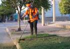 MEJORAS EN EL SERVICIO DE CORTE DE PASTO EN ESPACIOS VERDES
