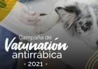 DESPUÉS DE MUCHOS AÑOS, ARROYITO, VUELVE A REALIZAR CAMPAÑA DE VACUNACIÓN ANTIRRÁBICA MASIVAS Y GRATUITAS