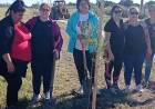EL MUNICIPIO JUNTO A OTRAS INSTITUCIONES DE LA CUIDAD PLANTARON ÁRBOLES AUTÓCTONOS