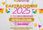 Castraciones Gratuitas en Arroyito: Un Compromiso con la Salud Animal