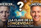Descubrieron la proteína que podría retrasar el envejecimiento humano