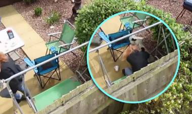 Golpeó a su perro porque tiró su café y terminó presa