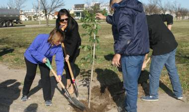 Plantación de árboles en el Día Mundial del Medio Ambiente