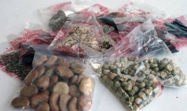 Semillas del programa Pro Huerta