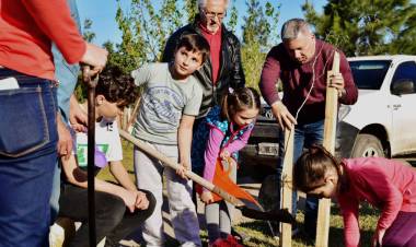 Plantación de árboles en espacios destinados a las veredas