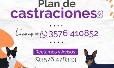 Comienza el Plan de Castraciones 2020