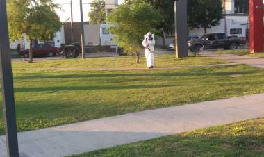 Dengue: Informe de las Autoridades de la Salud de la Ciudad