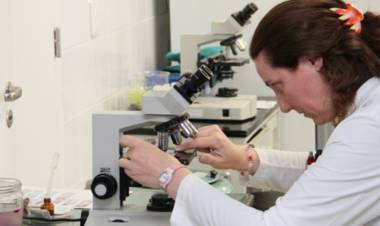 COVID-19: Córdoba ya realiza las pruebas en el Laboratorio Central