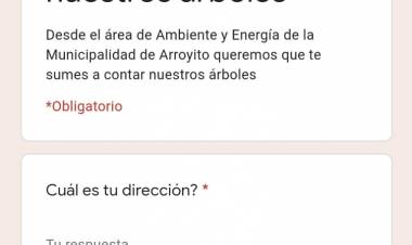 AMBIENTE: AYUDANOS A CONTAR NUESTROS ÁRBOLES!
