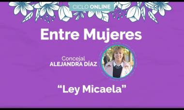 CICLO ONLINE ENTRE MUJERES: LEY MICAELA A TRAVÉS DE LA CONCEJAL ALEJANDRA DIAZ