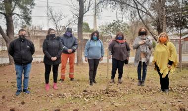 EN LA SEMANA DEL ÁRBOL ESTAMOS FORESTANDO LAS ESCUELAS