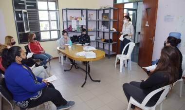 SI NO HAY MOSQUITOS NO HAY DENGUE: MANZANAS 100% SALUDABLES