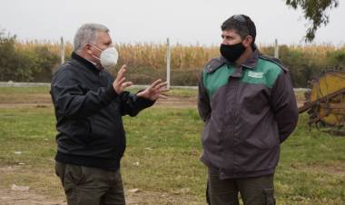 GIRSU: AVANZA EL ORDENAMIENTO DE LA PLANTA DE RECICLAJE