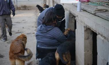 EL MUNICIPIO TRABAJA DE MANERA COMPROMETIDA EN CONCIENTIZAR SOBRE LA TENENCIA RESPONSABLE DE MASCOTAS Y TOMAR A LA PROBLEMÁTICA COMO TEMA SALUD PÚBLICA