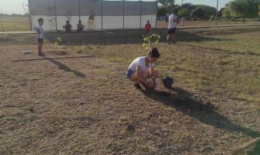 AVANZA LA FORESTACIÓN DEL PARAJE EL FUERTECITO.