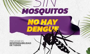 SIN MOSQUITOS, NO HAY DENGUE
