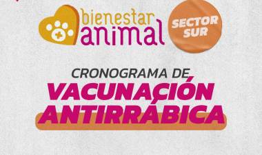 CAMPAÑA GRATUITA DE VACUNACIÓN ANTIRRÁBICA PARA MASCOTAS EN EL SECTOR SUR