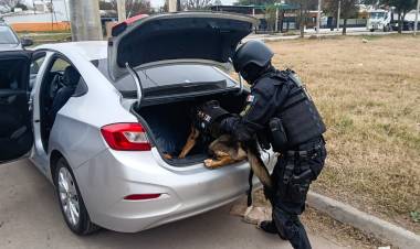 FPA DETUVO A OTRA INTEGRANTE DE UNA BANDA FAMILIAR QUE COMERCIALIZABA DROGAS EN ARROYITO