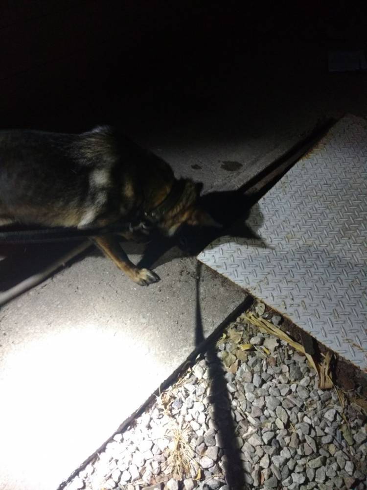 LA FPA SECUESTRÓ ESTUPEFACIENTES EN UN EVENTO EN LA CIUDAD DE MARCOS JUÁREZ