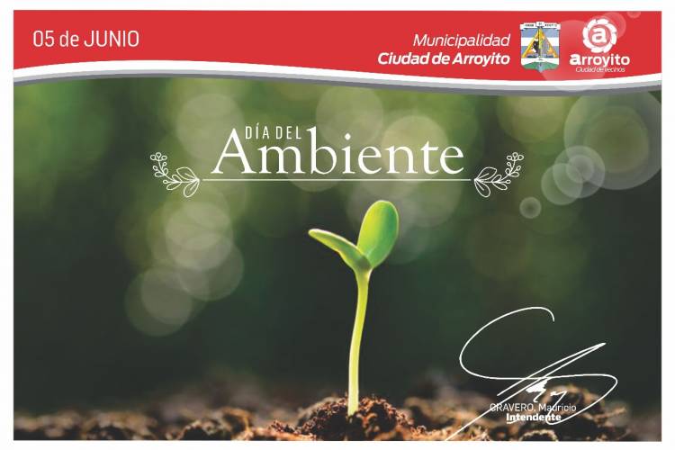DÍA MUNDIAL DEL MEDIO AMBIENTE