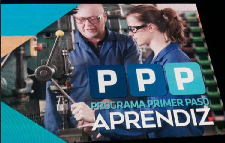 Programa Primer Paso- Programa Primer Paso Aprendiz
