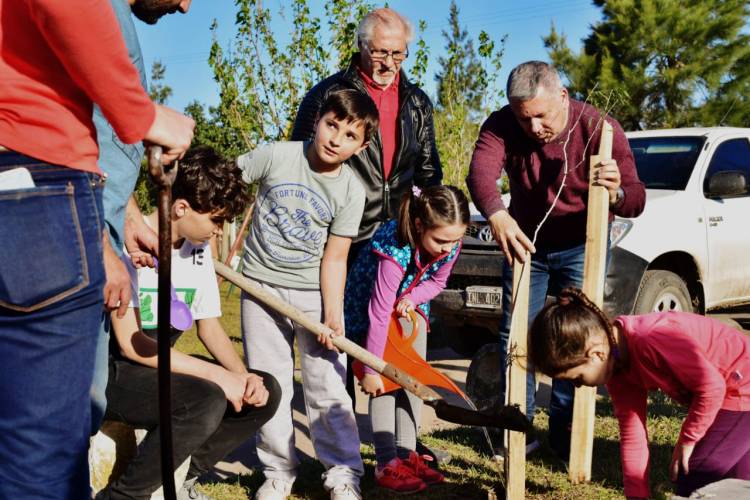 Plantación de árboles en espacios destinados a las veredas