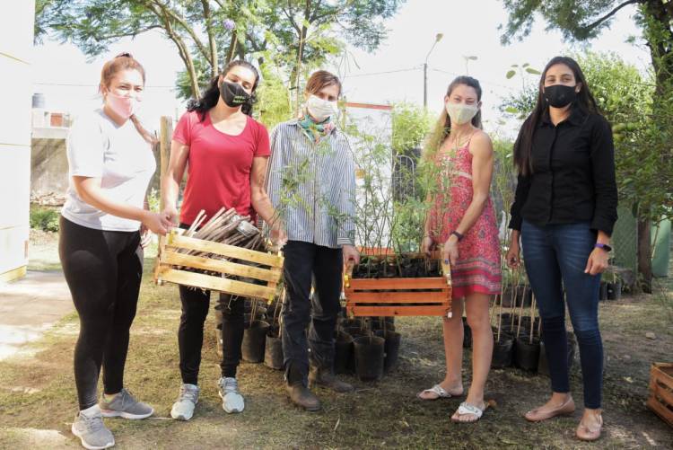 ENTREGA DE ÁRBOLES PARA FORESTAR LA CIUDAD