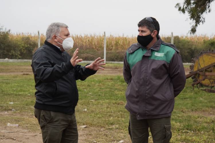 GIRSU: AVANZA EL ORDENAMIENTO DE LA PLANTA DE RECICLAJE