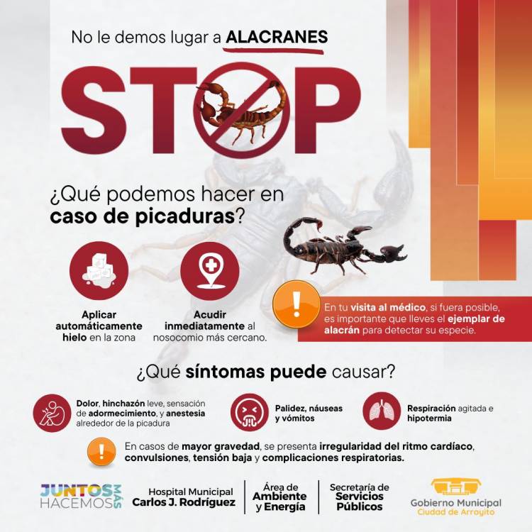 MEDIDAS DE PREVENCIÓN PARA EVITAR PICADURAS DE ALACRANES