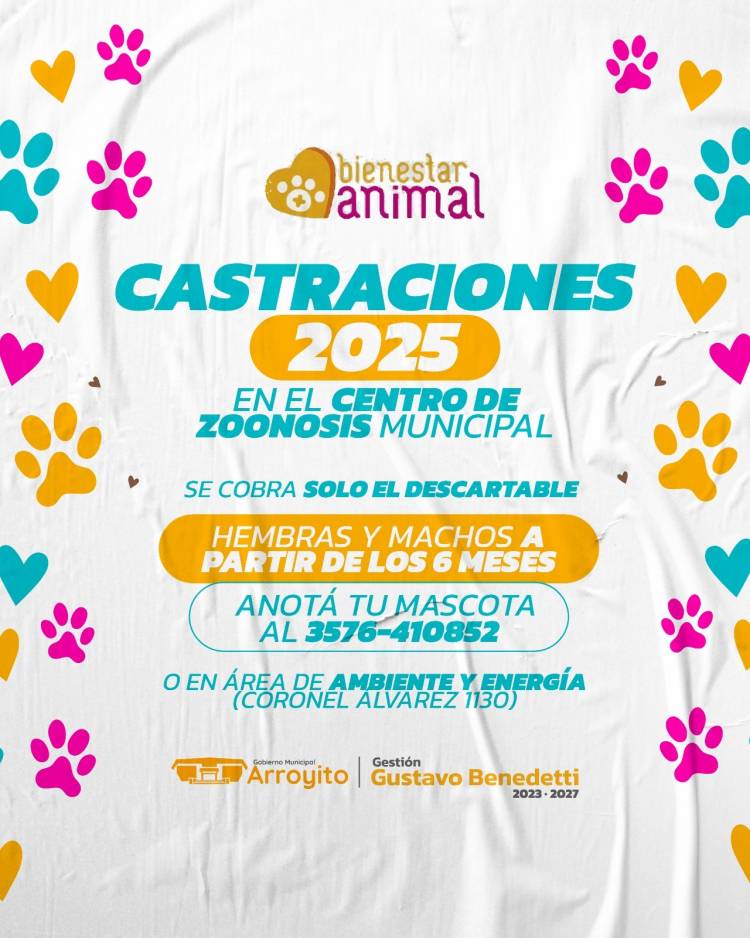 Sacá tu turno para castrar a tu mascota en el Centro de Zoonosis Municipal